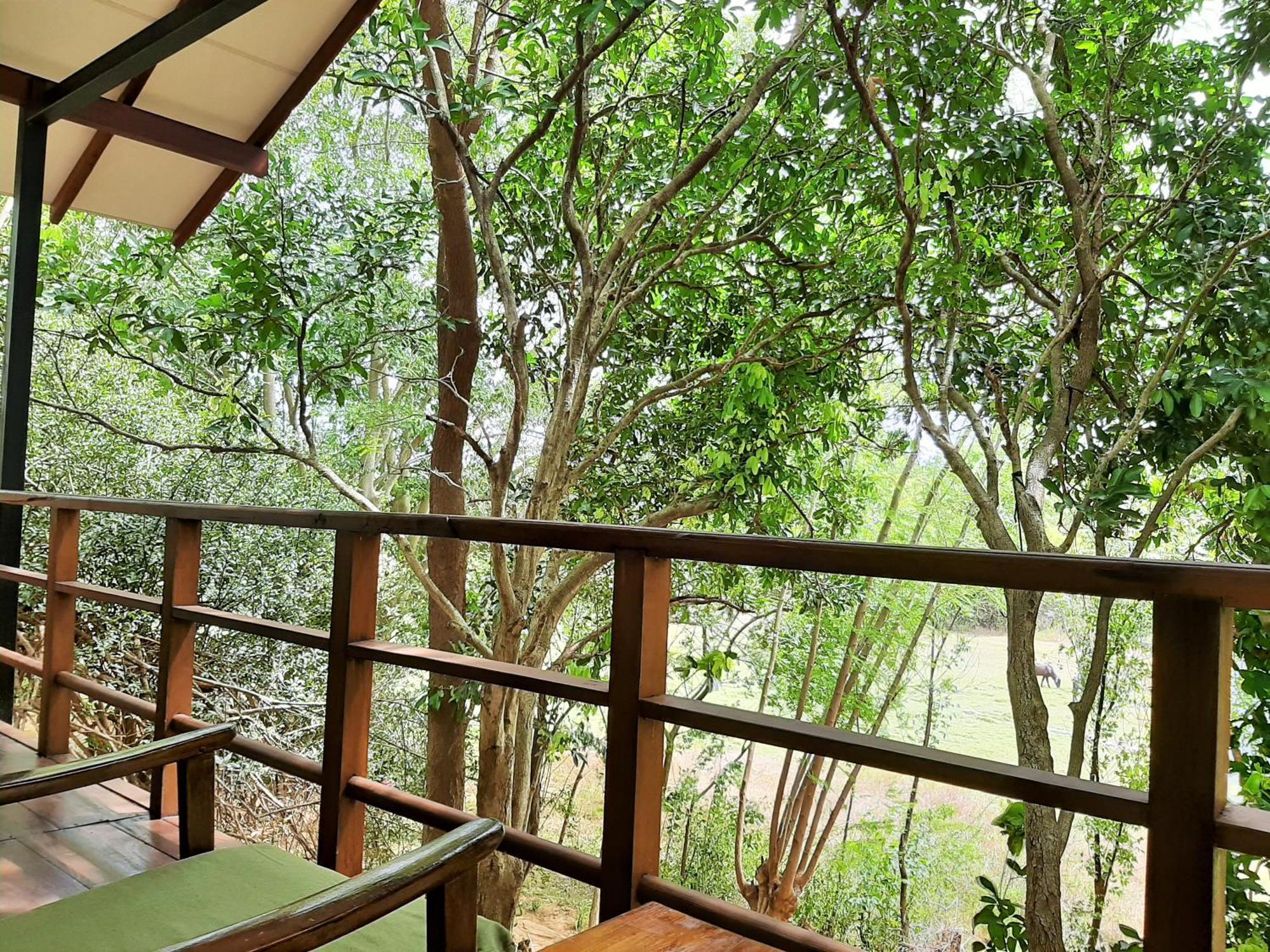 Elephant Lodge Udawalawe Luaran gambar