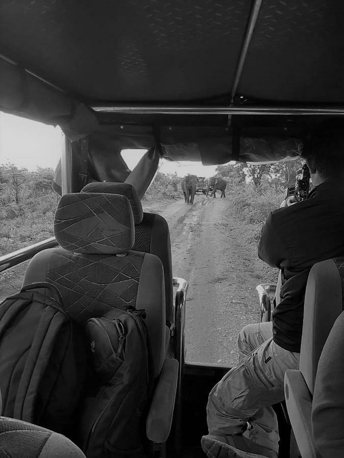 Elephant Lodge Udawalawe Luaran gambar