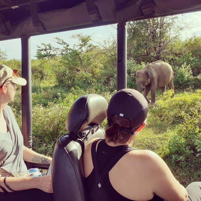Elephant Lodge Udawalawe Luaran gambar