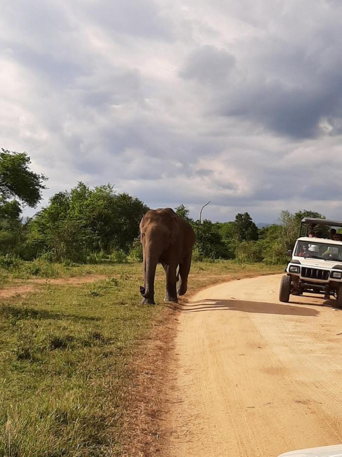Elephant Lodge Udawalawe Luaran gambar